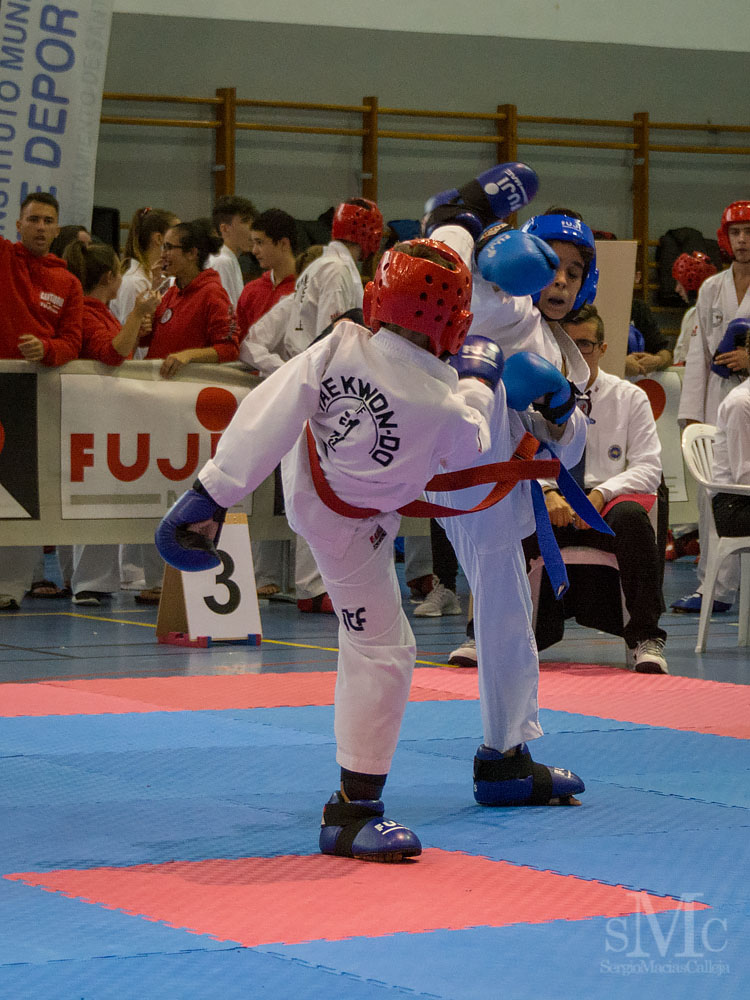 Copa Seul 2018 (15).jpg
